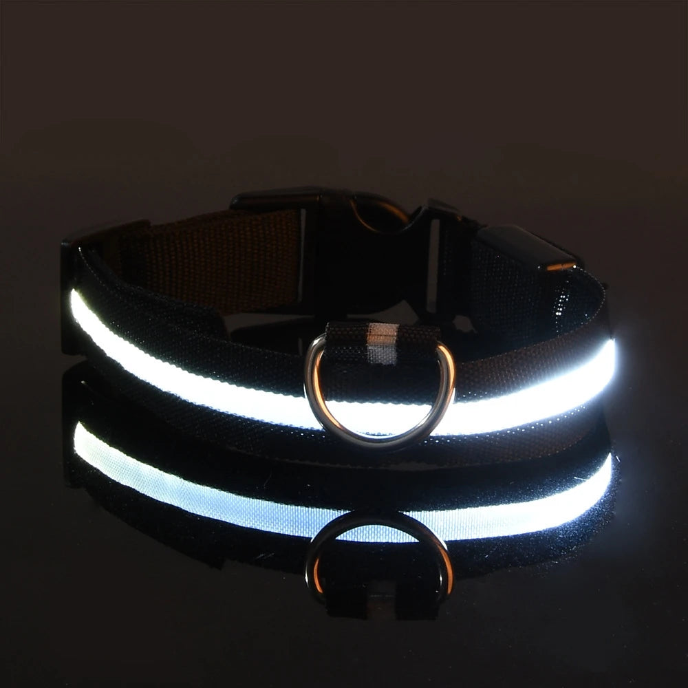 רצועת לילה LED לכלב – הבטיחות שמאיר את הדרך