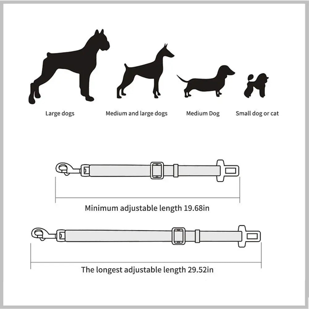 🚗 PetSafe Flex – השקט הנפשי לכל נסיעה עם החבר הפרוותי שלך