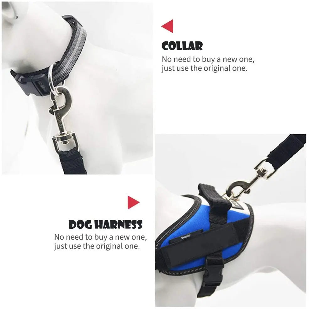 🚗 PetSafe Flex – השקט הנפשי לכל נסיעה עם החבר הפרוותי שלך