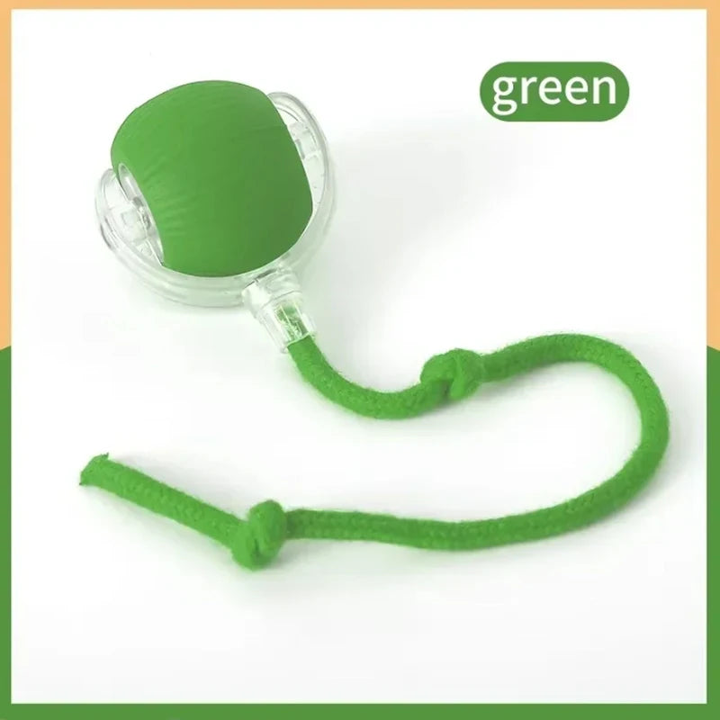 כדור המשחק החכם לחתולים – הופך כל רגע בבית להרפתקה שלא נגמרת