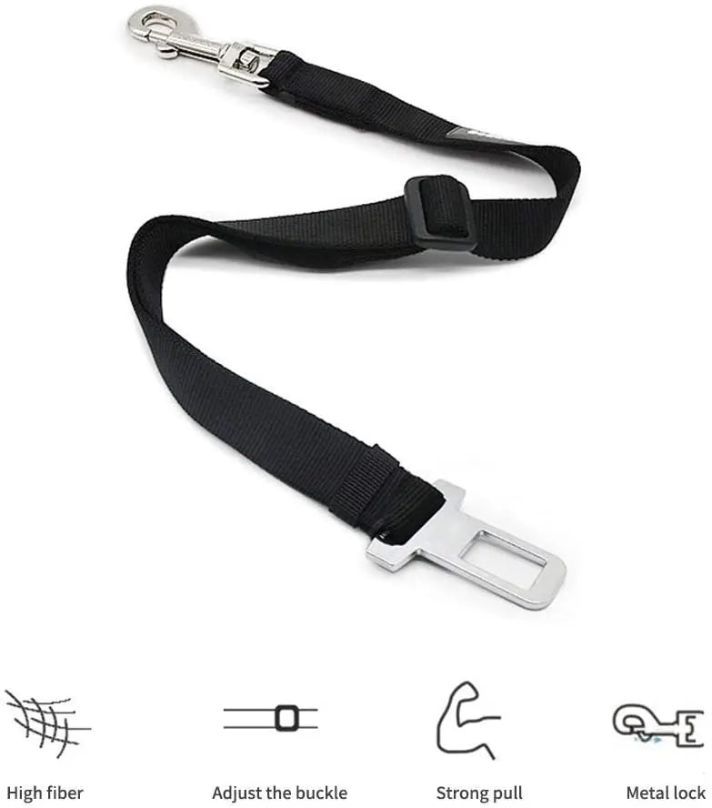 🚗 PetSafe Flex – השקט הנפשי לכל נסיעה עם החבר הפרוותי שלך