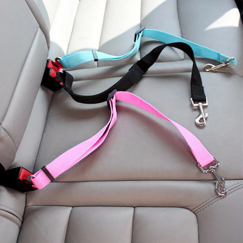 🚗 PetSafe Flex – השקט הנפשי לכל נסיעה עם החבר הפרוותי שלך