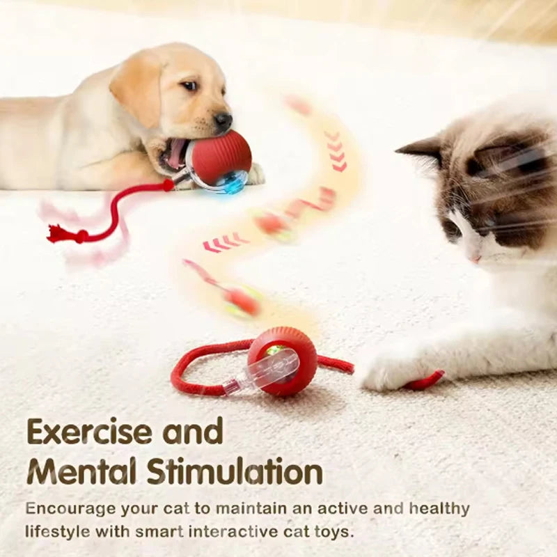 כדור המשחק החכם לחתולים – הופך כל רגע בבית להרפתקה שלא נגמרת